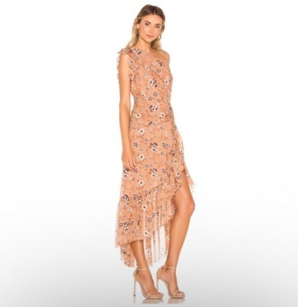 Ulla Johnson Belline Dress Cafe Size 0 Formal Silk Floral Gown NWT